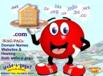 Domain Name - WAG-PAC at www.websagogo.com